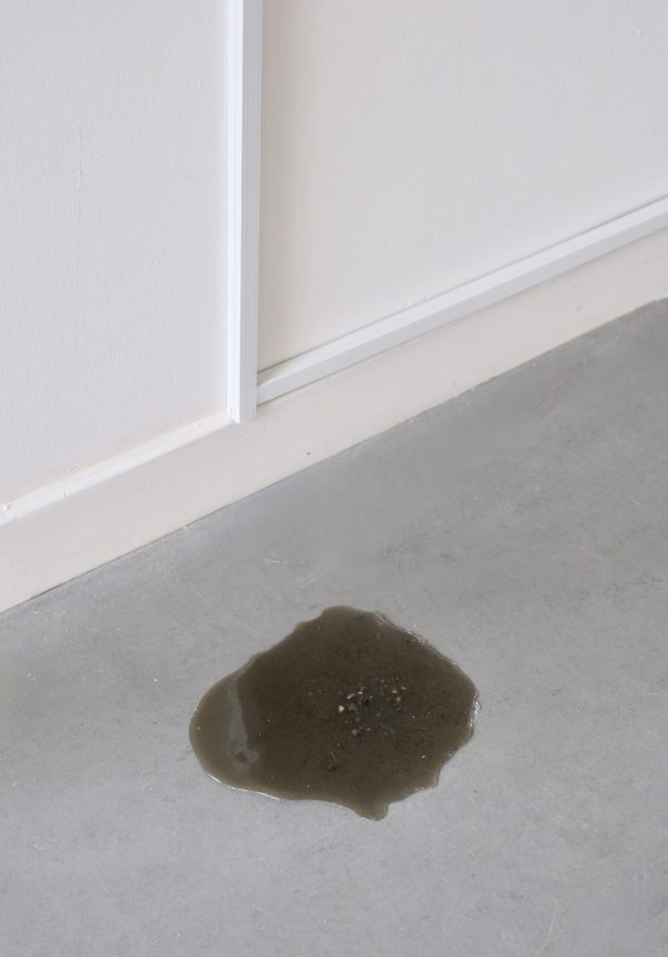DSCF1883